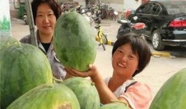 芬芳小区吃瓜,一场吃瓜盛宴背后的邻里温情