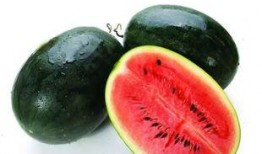 陈加加吃瓜2023,年度娱乐圈热点事件大盘点