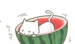 情头吃瓜头像,吃瓜头像趣味横生