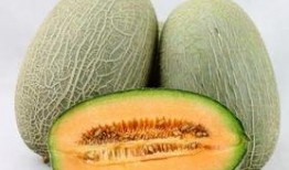 唇炎吃哈密瓜,哈密瓜助力缓解唇炎困扰