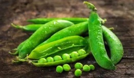 吃豆子再吃瓜,一场味蕾的冒险之旅