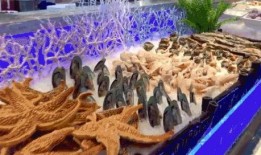 江苏海事吃瓜墙,揭秘航运圈那些事儿