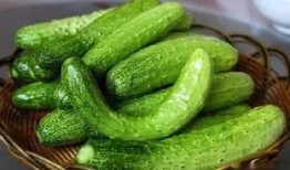 小满吃瓜的习俗,探寻传统习俗中的甜蜜记忆