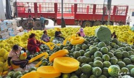 甸甸吃瓜,揭秘娱乐圈幕后故事