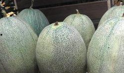 西餐哈密瓜怎么吃,创意食用指南