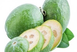 肾癌患者吃瓜,瓜类食材的神奇功效