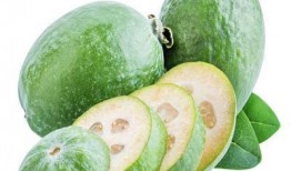 肾癌患者吃瓜,瓜类食材的神奇功效
