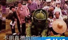 吃瓜群众分瓜什么意思啊,网络舆论场中的角色扮演与心理分析