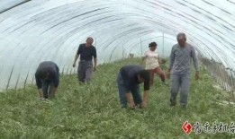 吃瓜宿迁学院,宿迁学院里的那些事儿