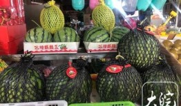 合肥吃的瓜,探寻合肥特色小吃的故事与风味