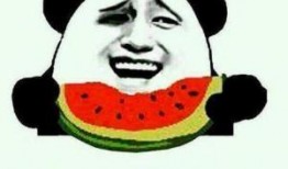 开朗吃瓜群众的句子,揭秘娱乐圈的欢乐与八卦