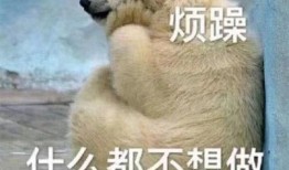 我不再吃瓜图片,我不再吃瓜，聚焦生活新篇章