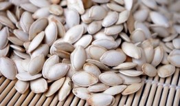 早瓜瓠瓜嫩籽可以吃吗,可食用的新鲜美味