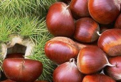 解梦吃瓜栗子枣,揭秘瓜栗子枣在梦中的象征意义