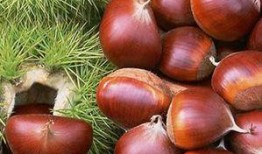 解梦吃瓜栗子枣,揭秘瓜栗子枣在梦中的象征意义