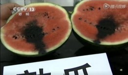 西瓜君吃瓜视频