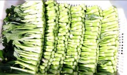 风吹吃瓜,一场别开生面的夏日盛宴