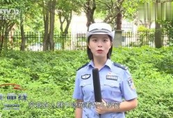 女警做吃瓜群众,揭秘警界幕后故事