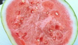 吃瓜只吃最甜的瓜瓤,探寻最甜瓜瓤的秘密