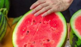 近期学校吃瓜,揭秘近期校园热点事件背后的真相”