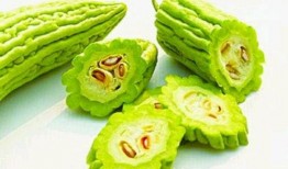 补气吃中药能否吃哈密瓜