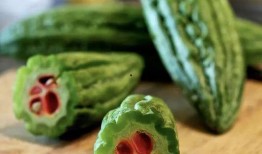 周梓琦吃瓜,揭秘娱乐圈背后的真相