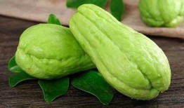 风湿严重可以吃瓜尖吗