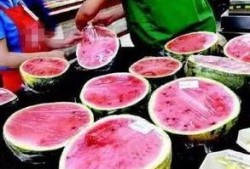 新密市吃瓜,瓜果飘香，品味生活新滋味