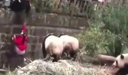 吃瓜少女变农妇免费,从吃瓜少女到农妇的蜕变之旅