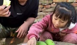木木上头吃瓜,揭秘网络热传的吃瓜文化