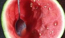 吃某人瓜,那些被吃瓜群众津津乐道的明星八卦