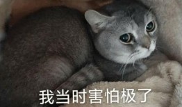 我不再吃瓜图片,我不再吃瓜，聚焦生活新篇章