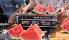 山东工业吃瓜视频,吃瓜视频揭秘工业魅力瞬间