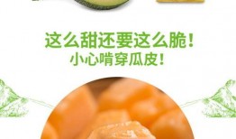 呱蜜瓜怎么吃,解锁夏日清新美味