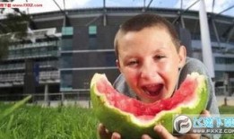 西瓜君吃瓜视频