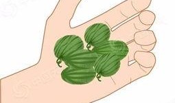 吃呱呱带你吃瓜,吃瓜群众带你领略美食世界