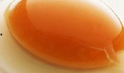 孕妇吃丰收瓜好吗,孕妇食用丰收瓜的益处与注意事项