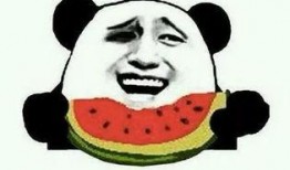 励志吃瓜大帅,逆境中绽放的阳光人生