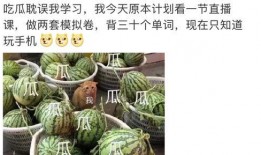 421业吃瓜,一场关于“吃瓜”的全民狂欢