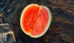 肃北吃瓜,探寻瓜乡的独特魅力