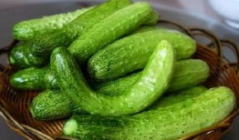 周梓琦吃瓜,揭秘娱乐圈背后的真相