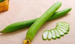 两小儿吃瓜,童趣盎然的夏日时光