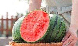 吃瓜对肝脏好吗,吃瓜对肝脏健康的益与弊解析