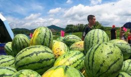 梁山新闻吃瓜事件