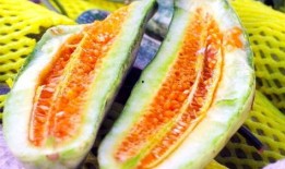 山东工业吃瓜视频,吃瓜视频揭秘工业魅力瞬间