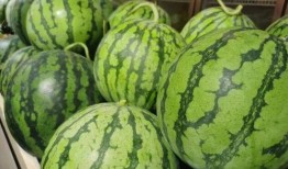 顶流社 吃瓜,吃瓜群众如何成为娱乐圈风向标