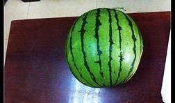 52 43秒 吃瓜,揭秘娱乐圈幕后真相