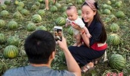 吃瓜书田,揭秘娱乐圈背后的秘密与真相