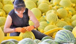 甸甸吃瓜,揭秘娱乐圈幕后故事