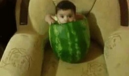 吃瓜被抓,一场意外的“瓜田”风波